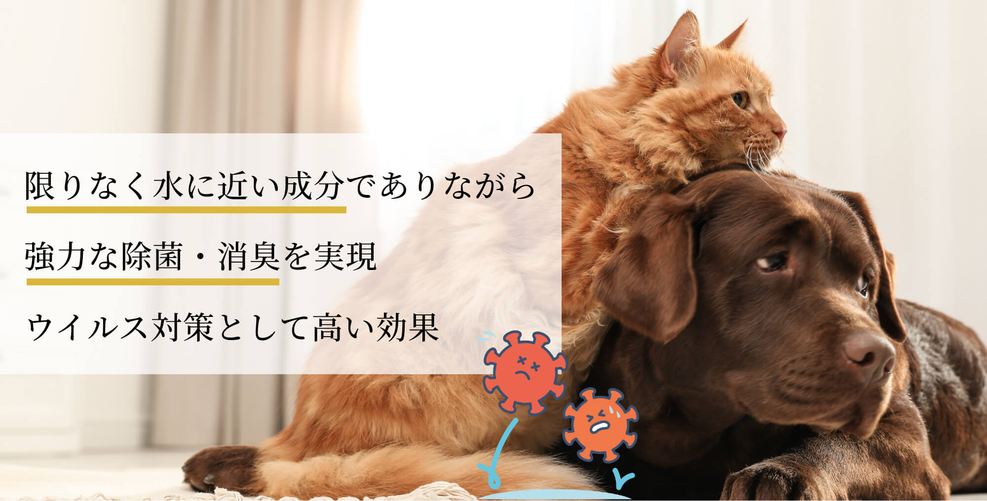 Kirei 限りなく水に近い成分でありながら強力な除菌・消臭を実現。ウイルス対策として高い効果