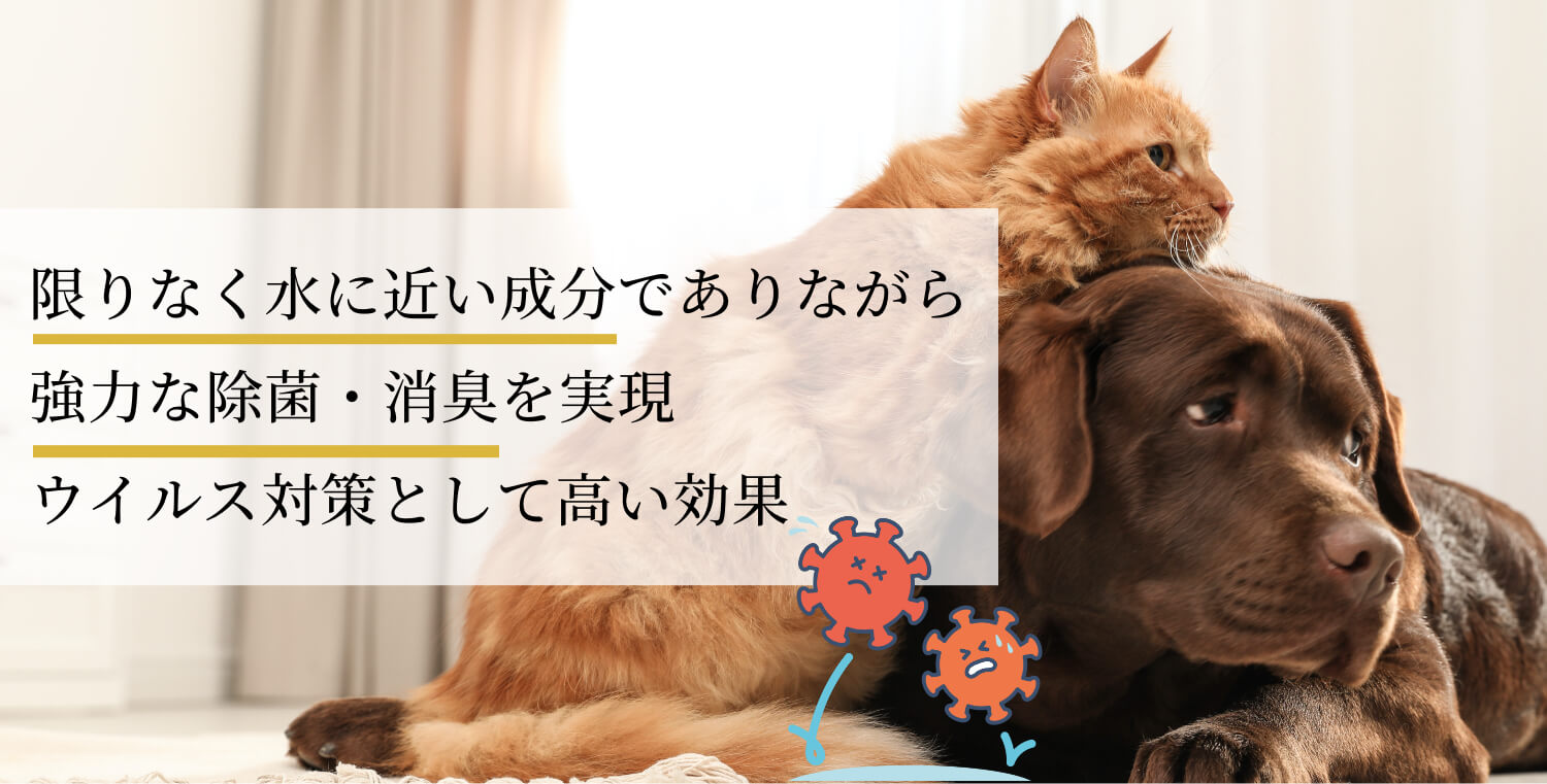 Kirei 限りなく水に近い成分でありながら強力な除菌・消臭を実現。ウイルス対策として高い効果